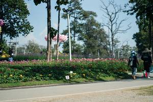 BIB: 
                            <button type="button" onclick="openModal(27613980)" class="btn btn-primary btn-sm float-right btn-popup" data-toggle="modal" data-target=".modal-high-quality">
                        <i class="fas fa-shopping-cart"></i> Add to Cart
                    </button>
                                            <button type="button" onclick="isThisMe(27613980, true)" class="btn btn-success btn-sm float-right btn-popup btn-isme hidden" data-toggle="tooltip" data-placement="bottom" title="นี่คือรูปของคุณใช่ไหม คลิกที่นี่เพื่อเอาเข้าอัลบั้ม">
                        <i class="fas fa-plus"></i> Add to album
                    </button>
                    <button type="button" onclick="isThisMe(27613980, false)" class="btn btn-warning btn-sm float-right btn-popup btn-isnotme hidden">
                        <i class="fas fa-ban"></i> Remove from album
                    </button>